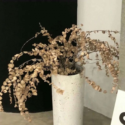 天河福瑞交流群